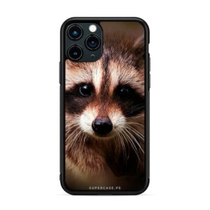 Animales - Mapache