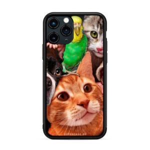 Animales - Mascotas fotogénicas