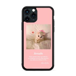 Animales - Gato amado