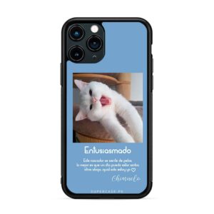 Animales - Gato entusiasmando